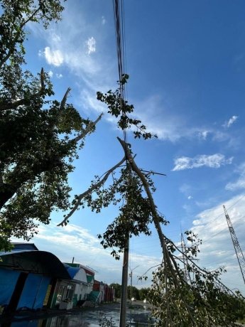 Фото: Администрация Саяногорска 