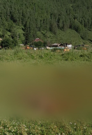 Фото: Ширинский вестник