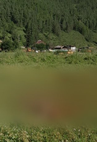 Фото: «Ширинский вестник»