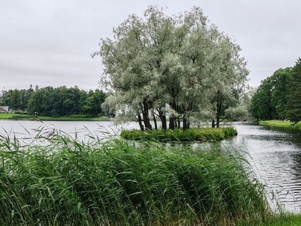 Фото: МК в Бурятии
