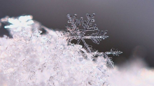 Depositphotos
