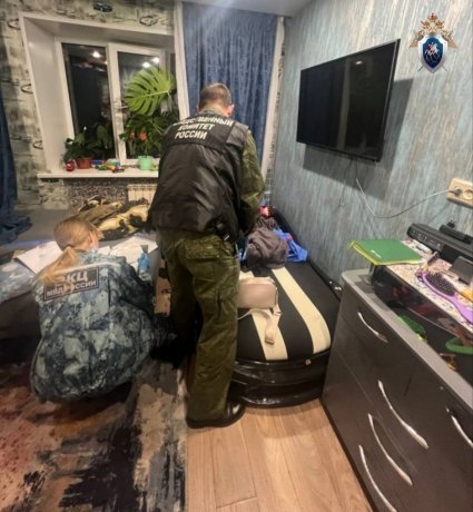 Фото: СУ СК России по Красноярскому краю и Хакасии