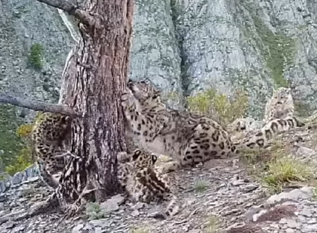 Фото: стоп-кадр видео фоторегистратора