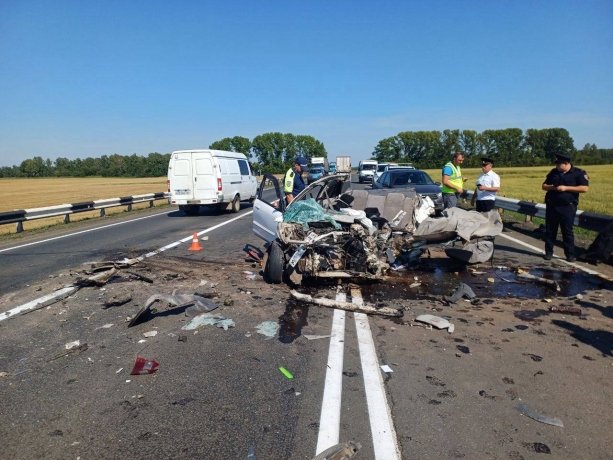 Фото: Госавтоинспекция Красноярского края