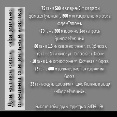 Фото: из тг-канала Марины Гурай