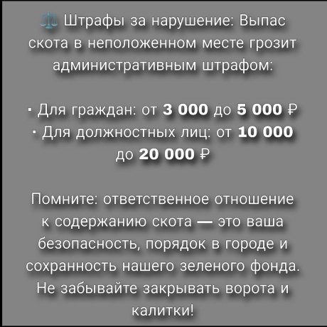 Фото: из тг-канала Марины Гурай