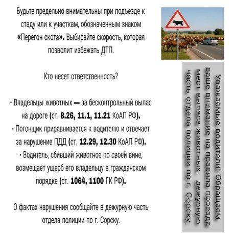 Фото: из тг-канала Марины Гурай