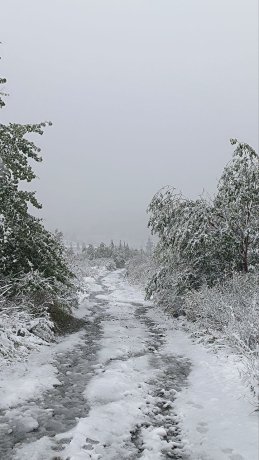 Фото: читатели АДИ19