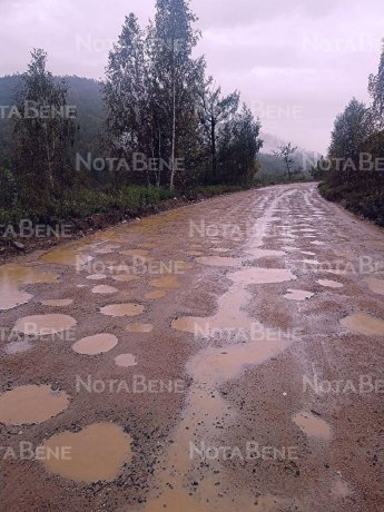Фото: NotaBene