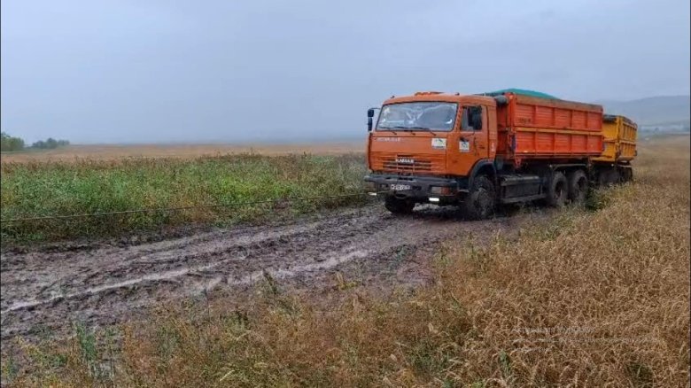 Фото: Минсельхоз Хакасии