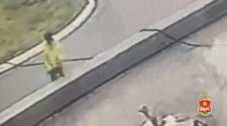 Стоп-кадр видео МВД по Хакасии