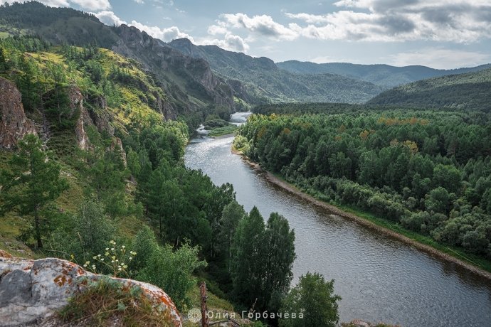 Фото: Юлия Горбачева