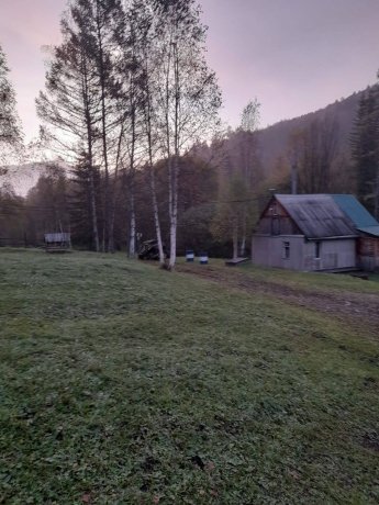 Фото: СУ СК России по Красноярскому краю и Хакасии
