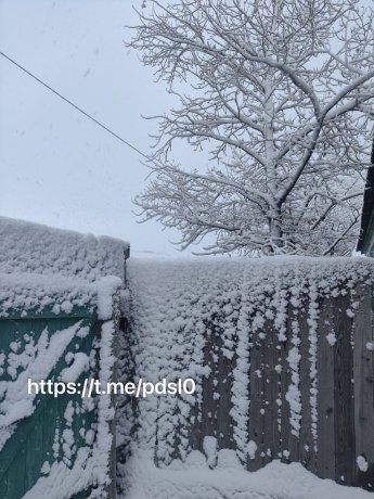 Фото: ТГ-канал Подслушка ЧП Кызыл Тыва 
