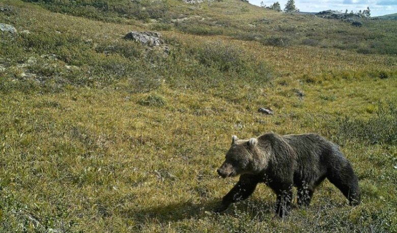 Фото: Природный парк «Ергаки»