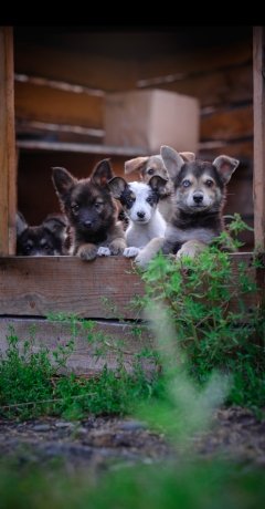 Фото: Василий Кузьмин