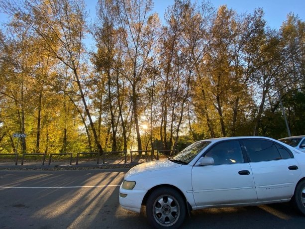 Фото: АДИ19