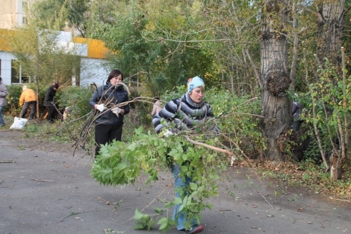 Фото: пресс-служба Минприроды Хакасии
