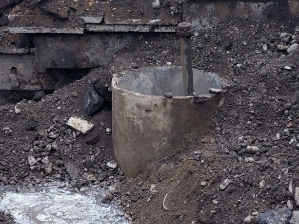 Фото: Евгений Молодняков