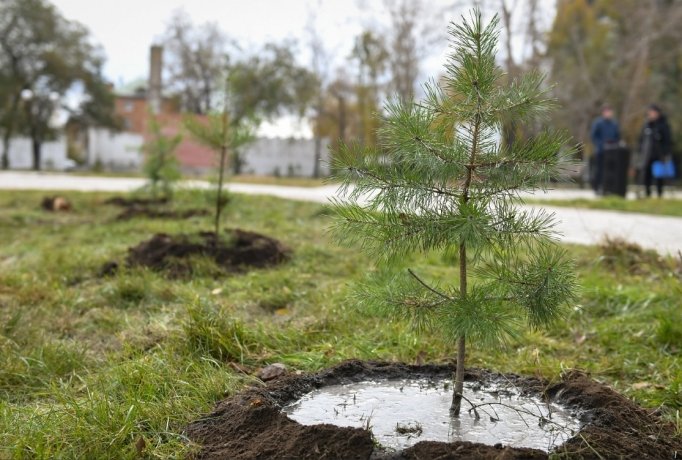 Фото: пресс-служба главы Хакасии