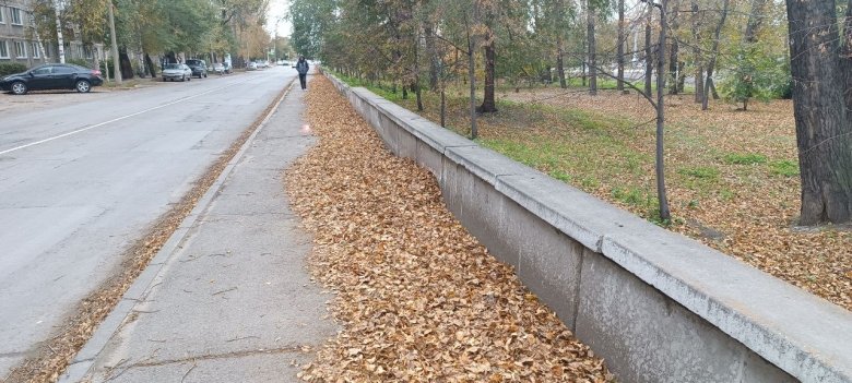 Фото: Владимир Красилов 