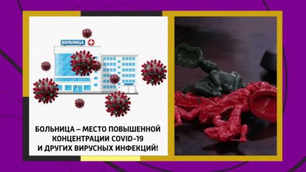 Фото: vesti.ru