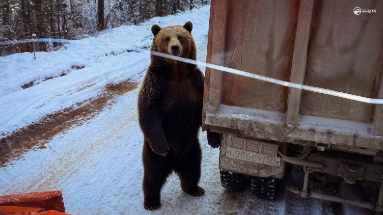 Фото: КрайДЭО
