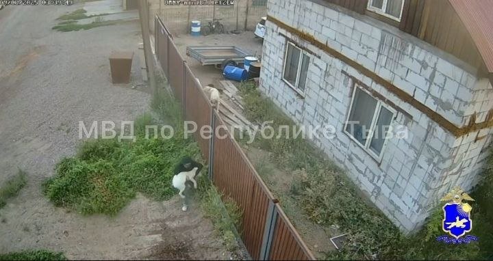 Фото: МВД по Тыве