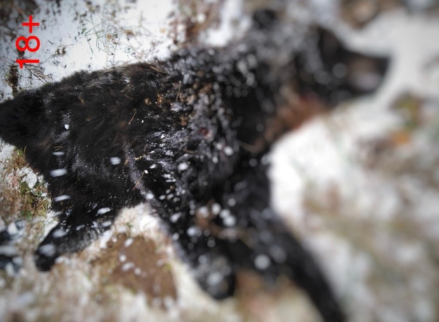 Фото: Минприроды Хакасии