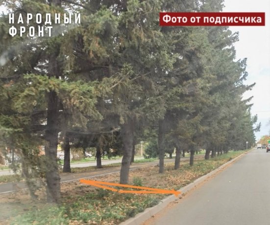 Фото: Народный фронт 