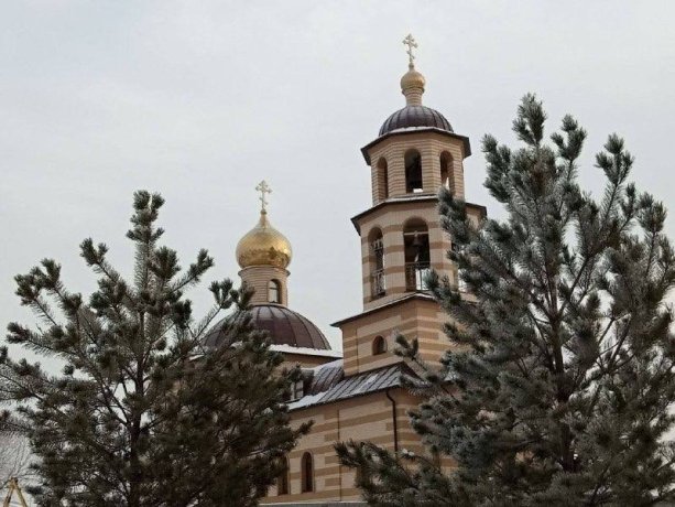 Фото: из тг-канала Елены Егоровой