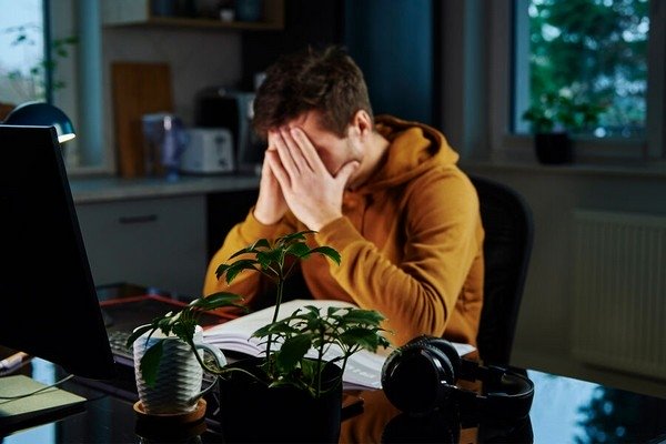 Lazy_Bear/Shutterstock/FOTODOM