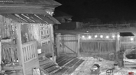 Фото: Виталий Анисимов
