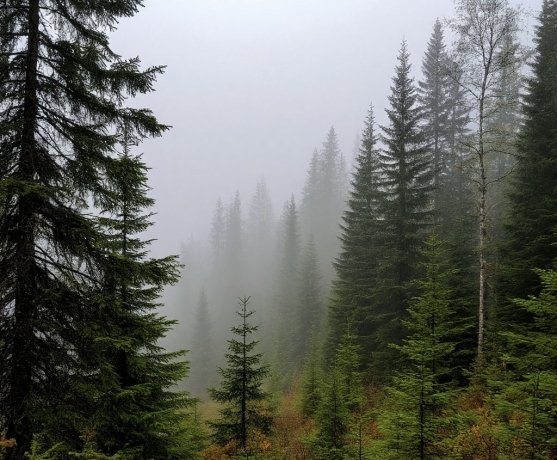 Фото: Шедеврум 