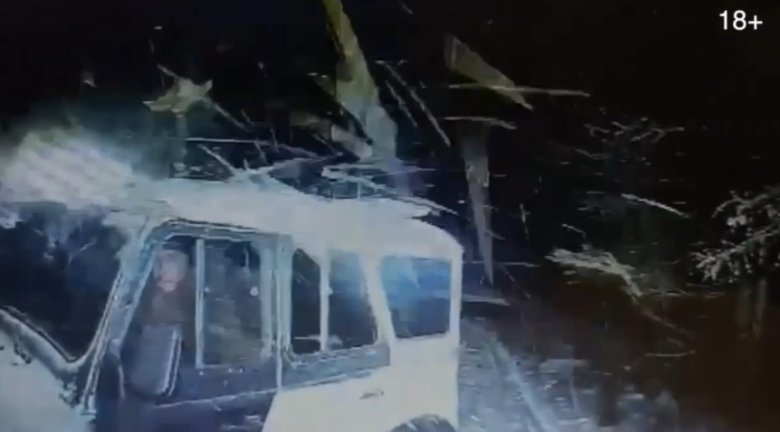 Стоп-кадр видео Минприроды Хакасии