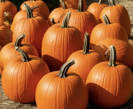 Фото: Шедеврум