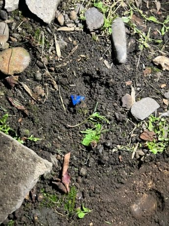 Фото: МВД по Хакасии