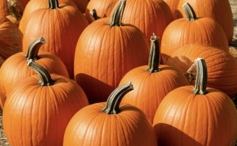 В один день четыре праздника на выбор