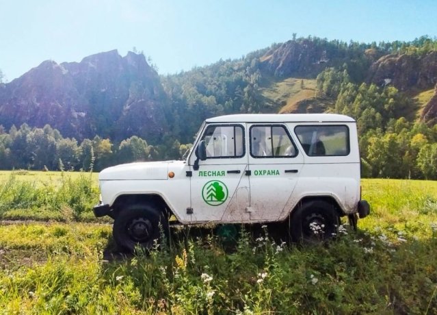 Фото: пресс-служба Минлеса Хакасии