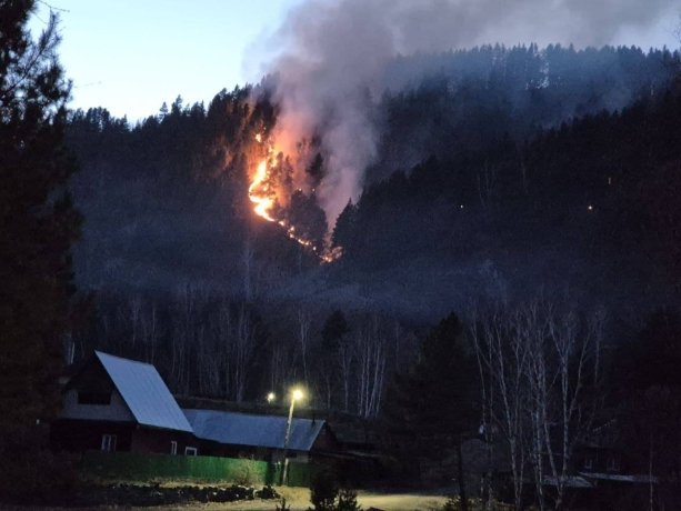 Фото: Прокуратура Красноярского края