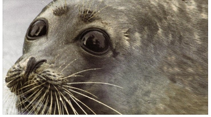 Фото: РИА НОВОСТИ 