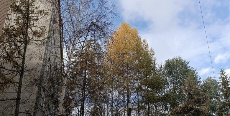 Фото: Владимир Красилов 