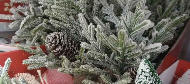 Фото: Владимир Красилов 