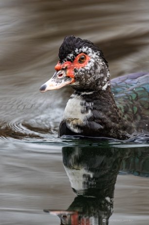 Фото: Андрей Зайченко
