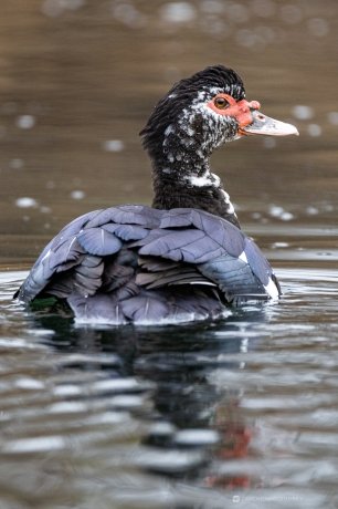 Фото: Андрей Зайченко
