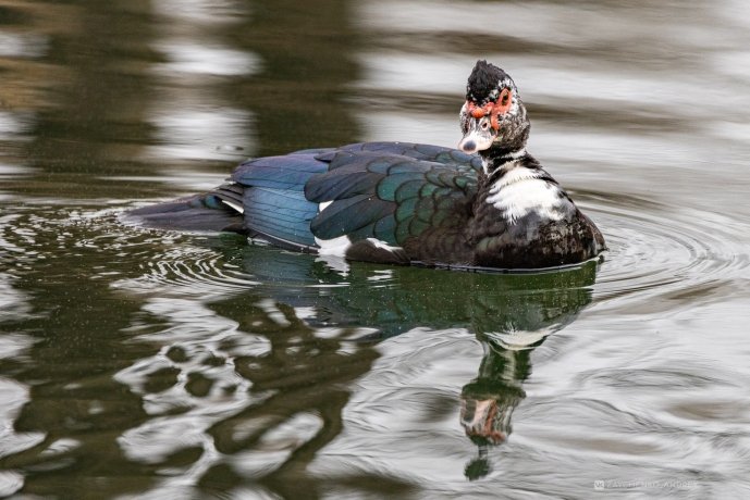 Фото: Андрей Зайченко