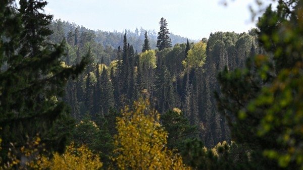 Фото: © РИА Новости/Илья Наймушин