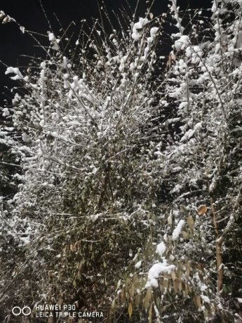 Фото: читатель АДИ19