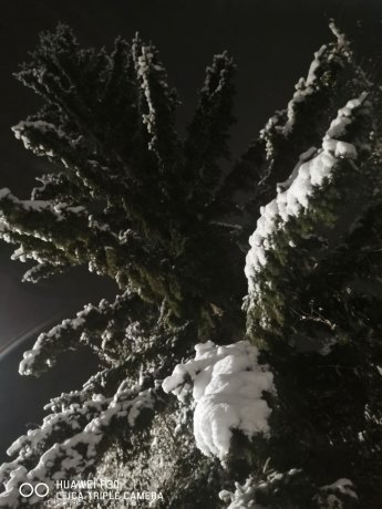 Фото: читатель АДИ19