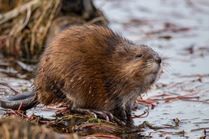 Фото: Андрей Зайченко